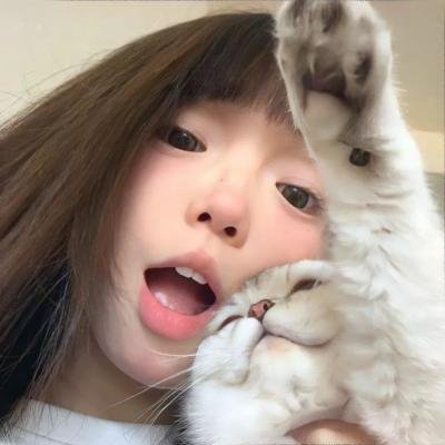 闪电狗